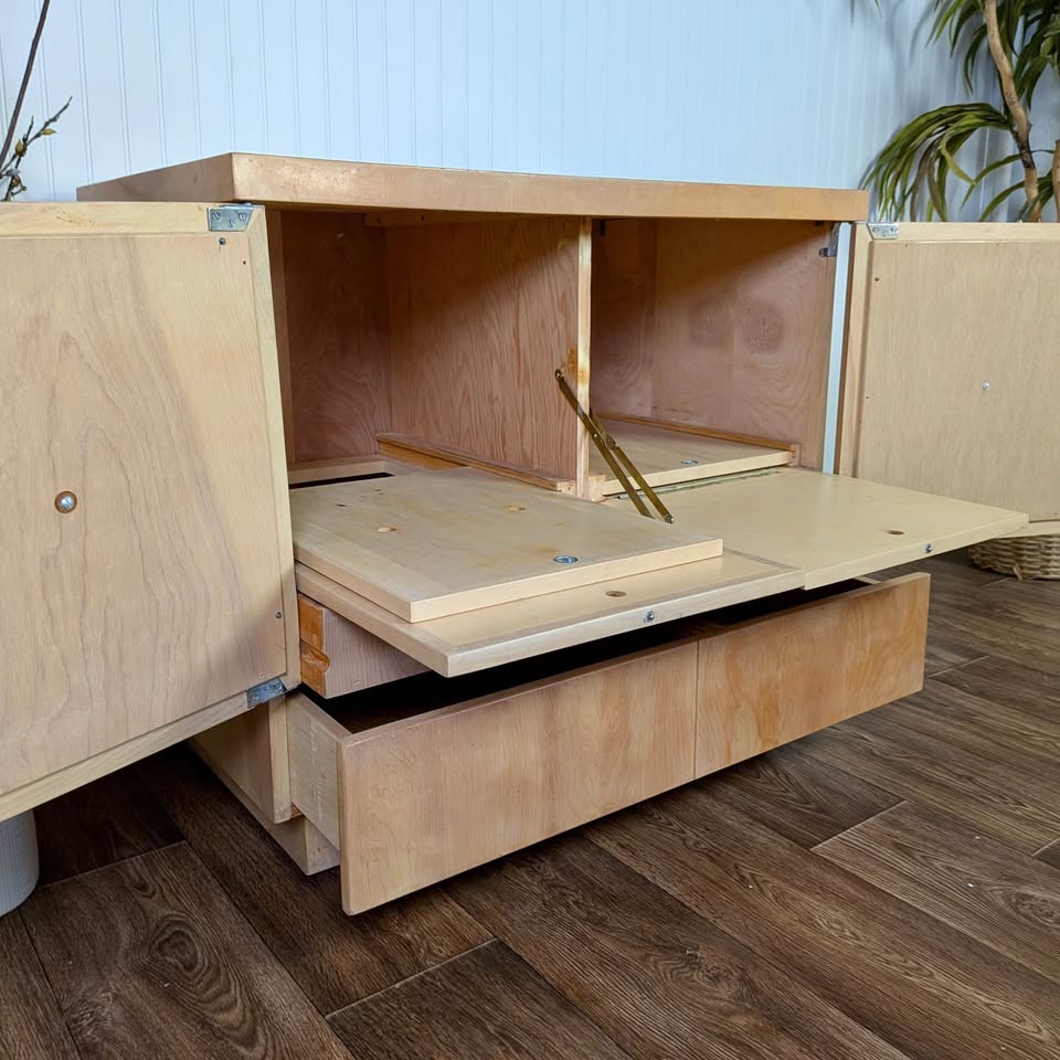 Mid-Century Modern Record Cabinet / Dry Bar