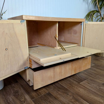 Mid-Century Modern Record Cabinet / Dry Bar